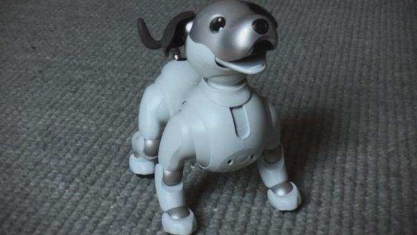 aibo robot dog 2019