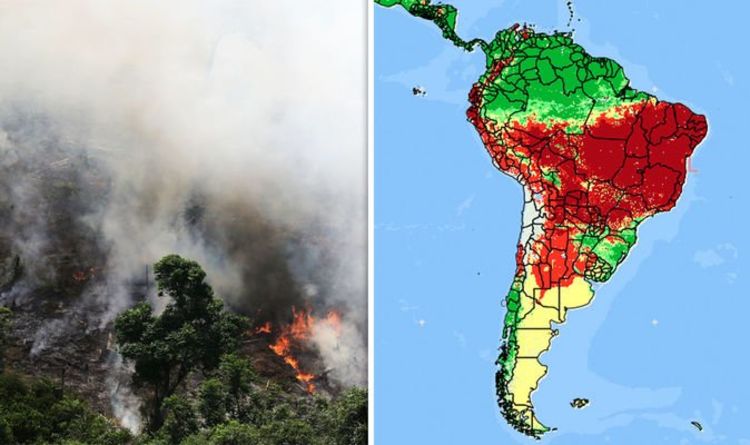 Amazon Fires Size Rainforest Fire Covering Half Of Brazil