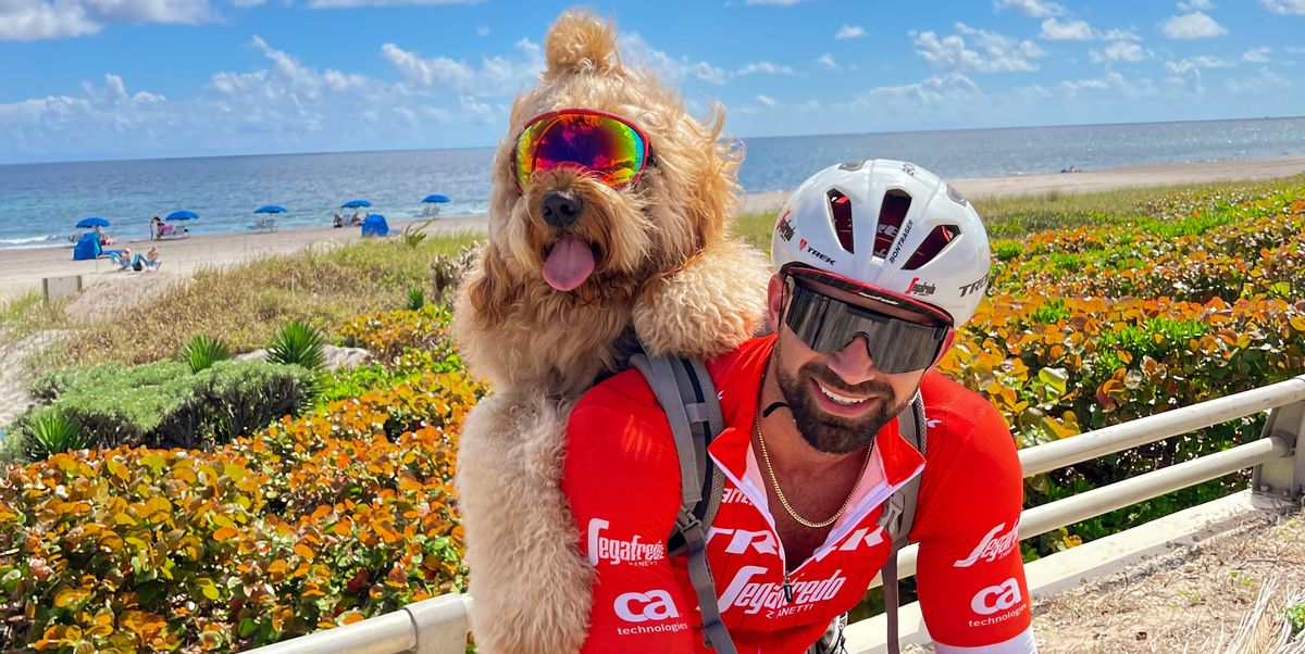 Brodie the Goldendoodle Bike Rides Dogs That Ride Bikes