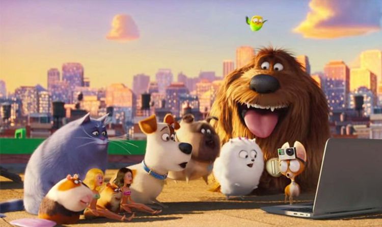 Secret Life Of Pets 2 Trailer How To Watch The Brand New Trailer