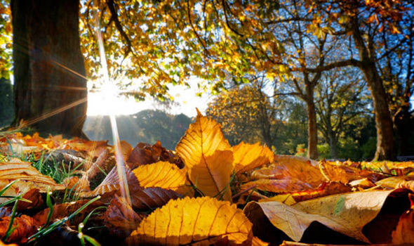 Risultati immagini per autumn