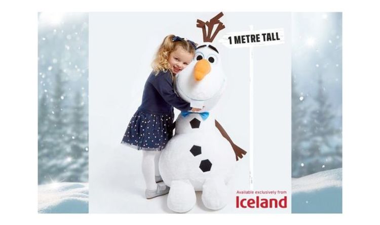 iceland giant teddy