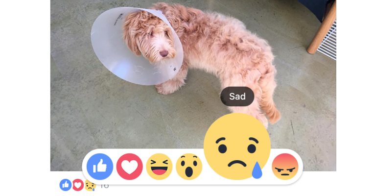 Facebook Enhances Everyones Like With Love Haha Wow Sad