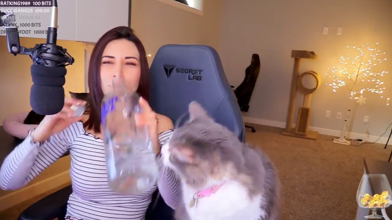 Twitch Gamer Alinity Throws Cat Over Her Shoulder Videos.