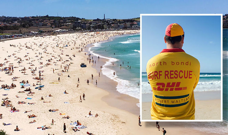 beach cricket mat