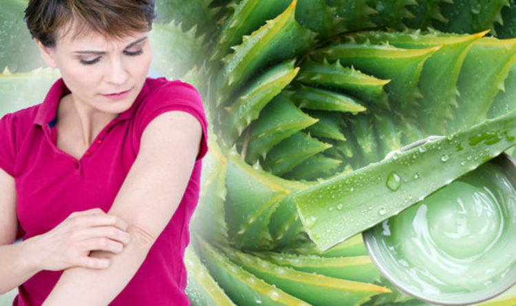 Eczema Use Aloe Vera To Help Treat Painful Rash What You Should