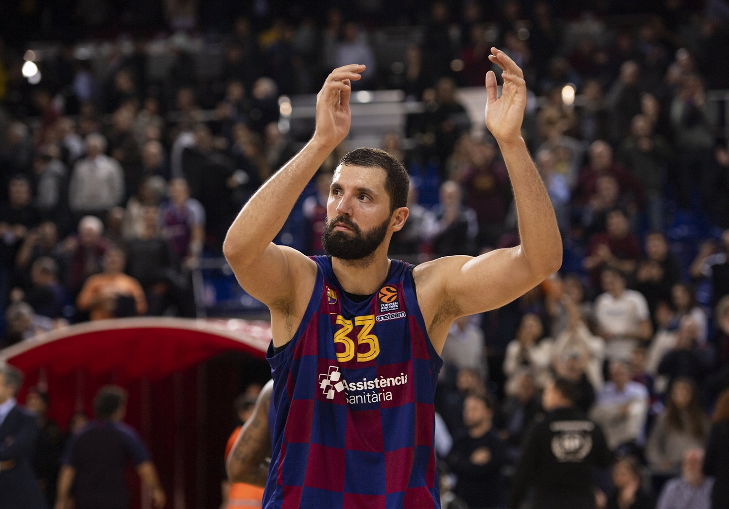 nikola mirotic