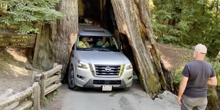 Viral Video Shows Nissan Armada Getting Stuck in Drive Through