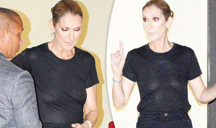 Celine Dion, 49, flashes BRA as she slips in daring low 
